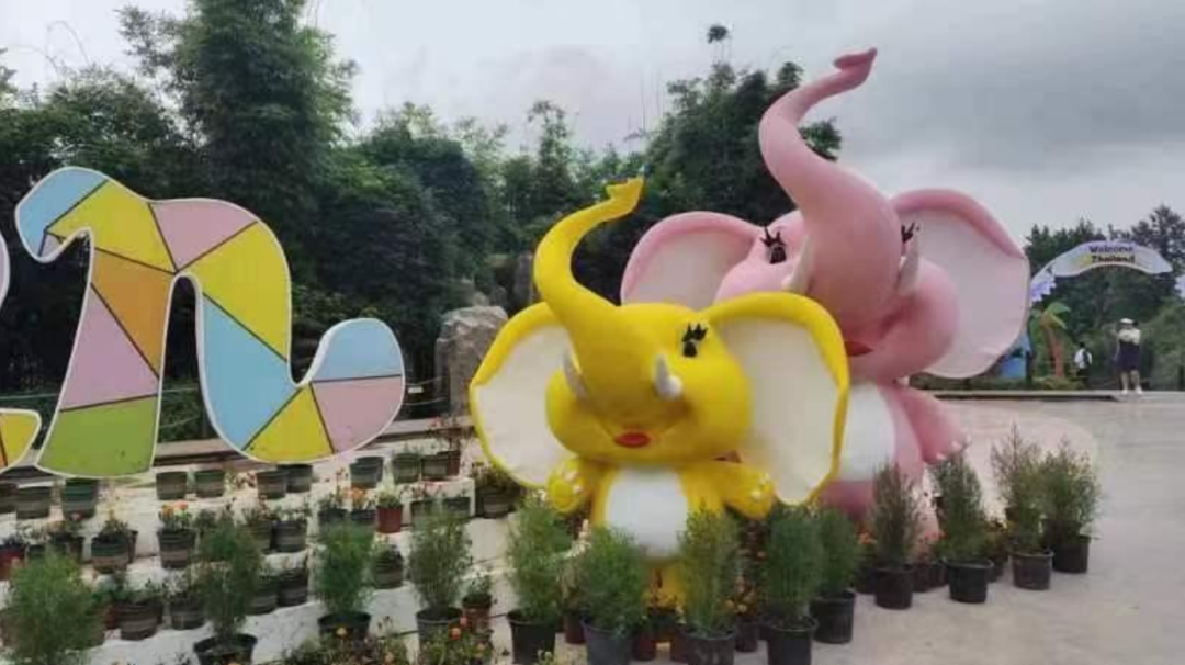 圖片